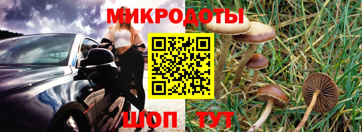 Псилоцибиновые грибы мухоморы Бор